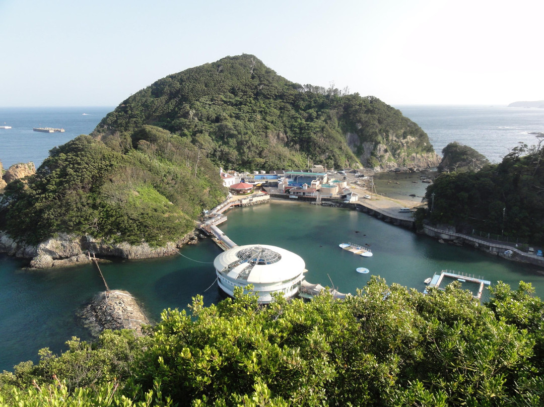 下田市旅游攻略图片