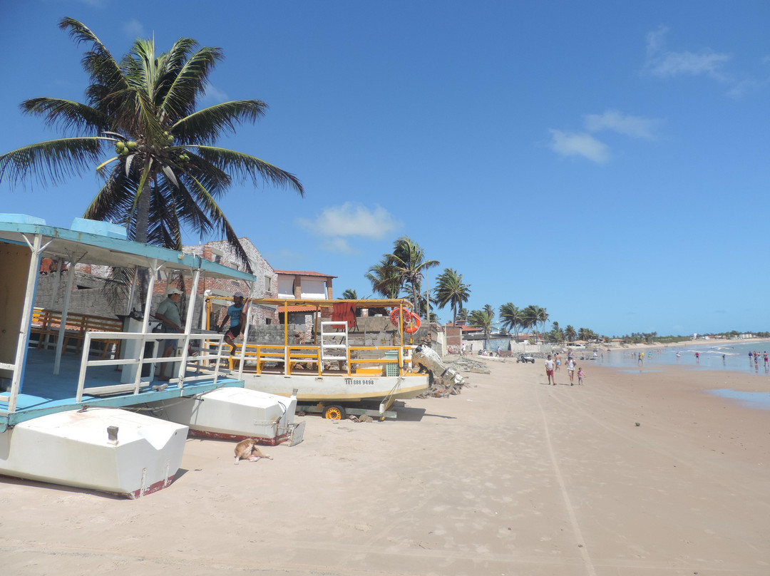 Praia de Maracajau景点图片