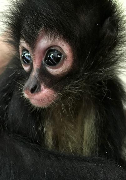 Aluxes Ecoparque-帕伦克必去景点