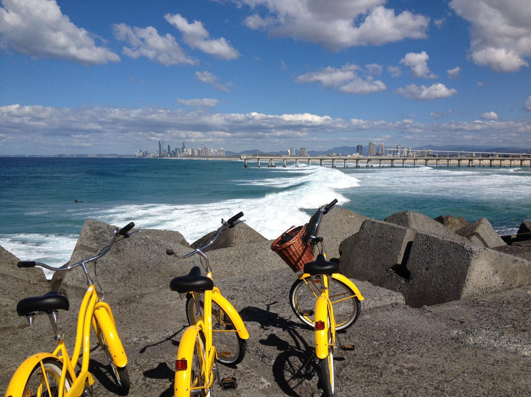 Gold Coast Bike Tours-冲浪者天堂必去景点