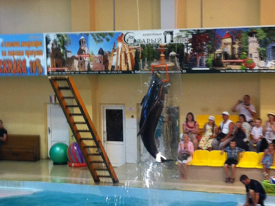 Gelendzhik Dolphinarium-Gelendzhik必去景点