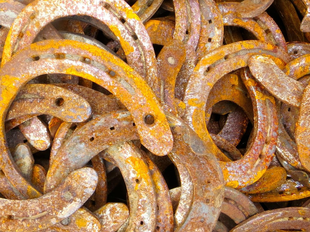 Doezum酒店住宿-The Black Horse B&B & More