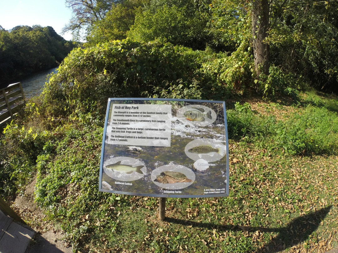 Hoy Park景点图片