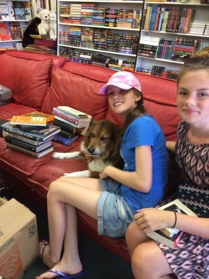 Brant's Books-萨拉索塔必去景点