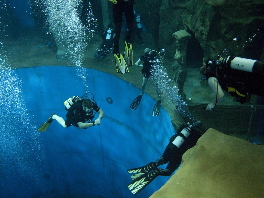 Dive4Life景点图片