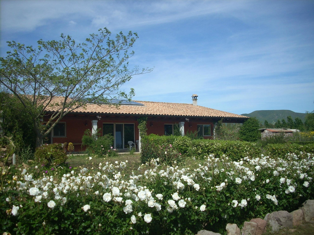 Masainas酒店住宿-Fattoria Corte Noa B&B