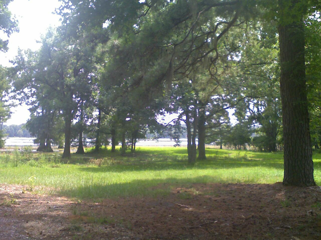 Lake Bistineau State Park景点图片