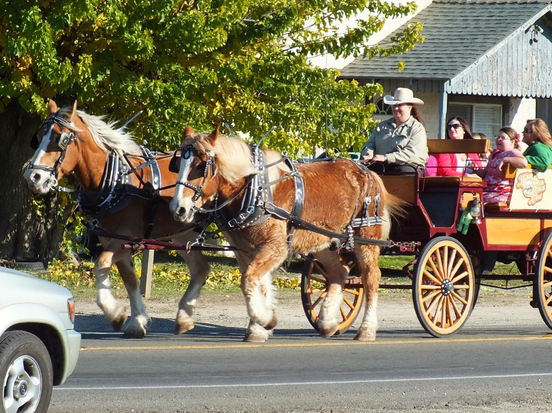 Mariposa Stage Line-马里波萨必去景点
