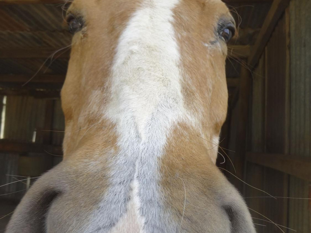 Waminda Wildlife Sanctuary-杰拉尔顿必去景点