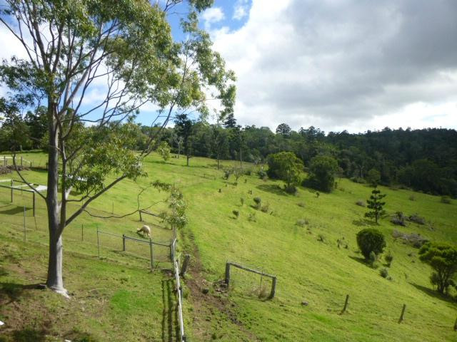 Mountview Alpaca Farm景点图片