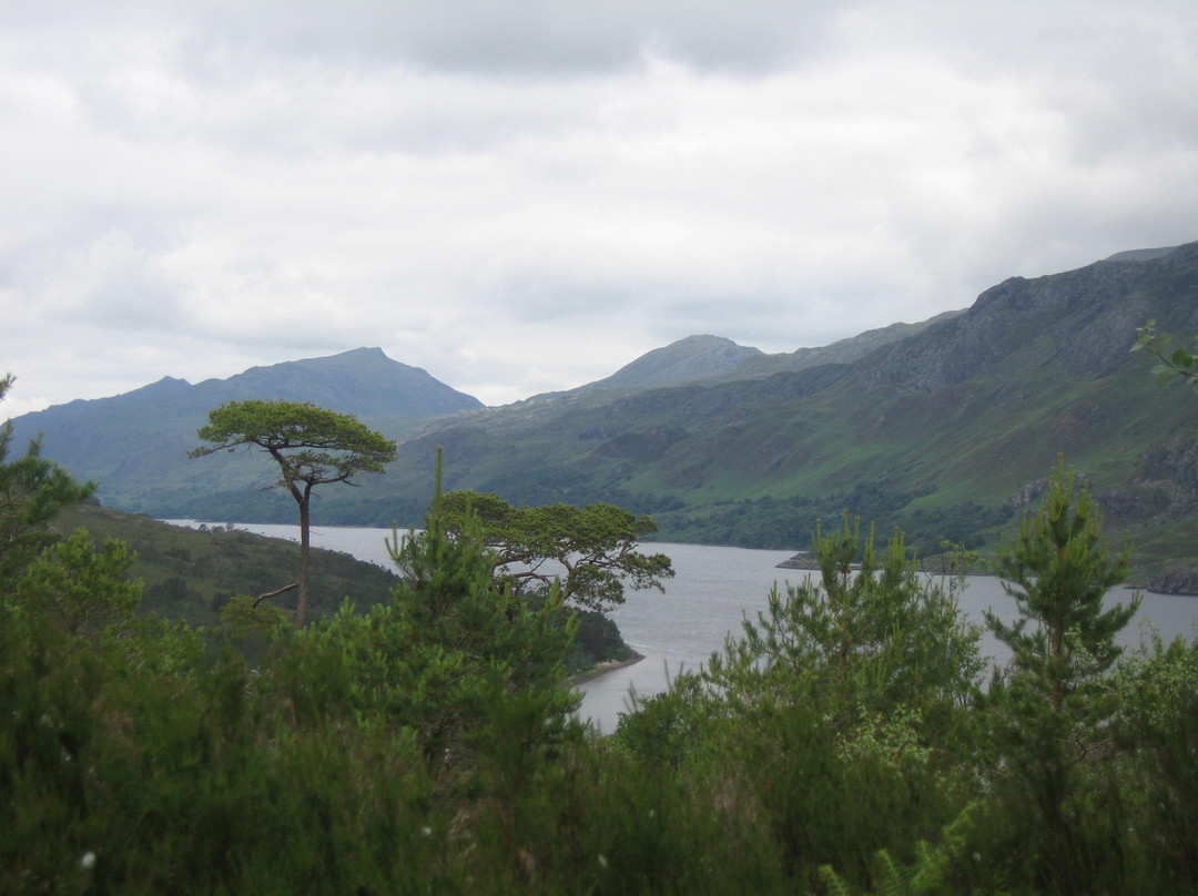 Beinn Eighe National Nature Reserve景点图片