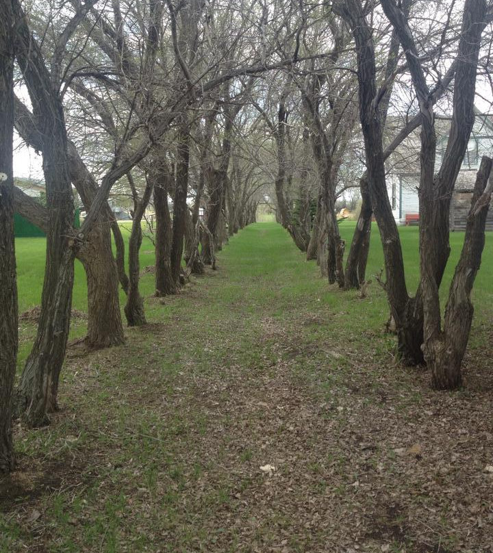Sukanen Ship Pioneer Village & Museum-穆斯乔必去景点