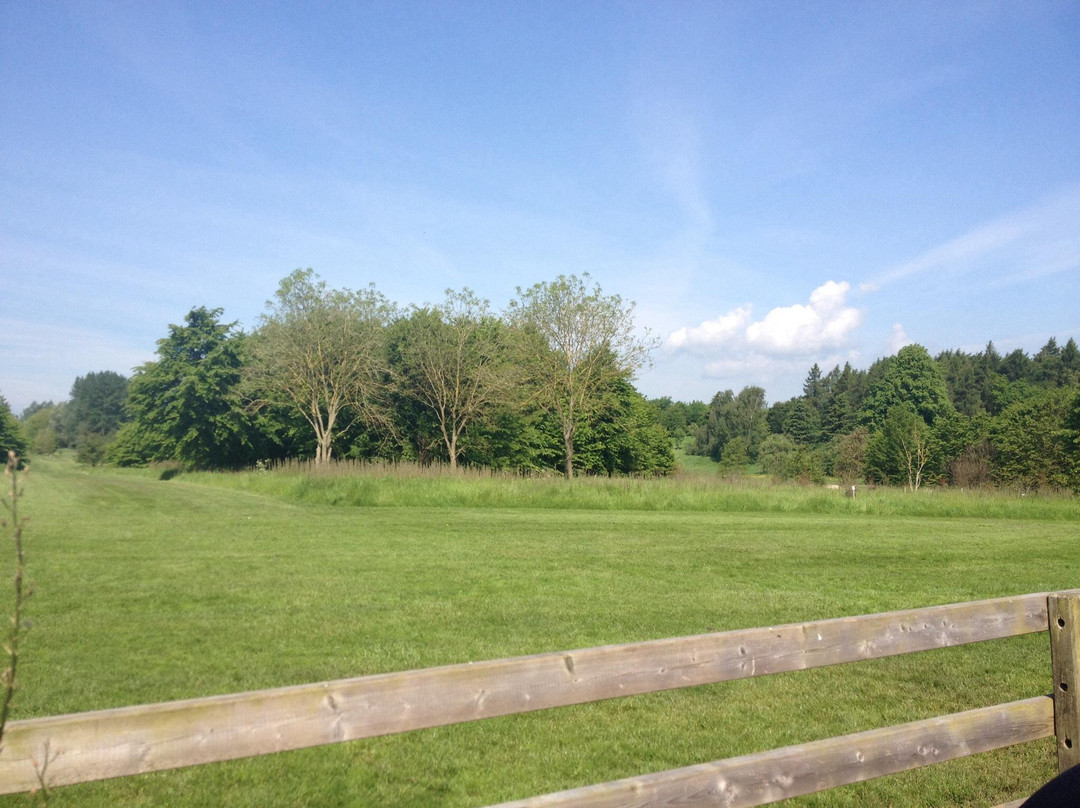 Yorkshire Arboretum景点图片