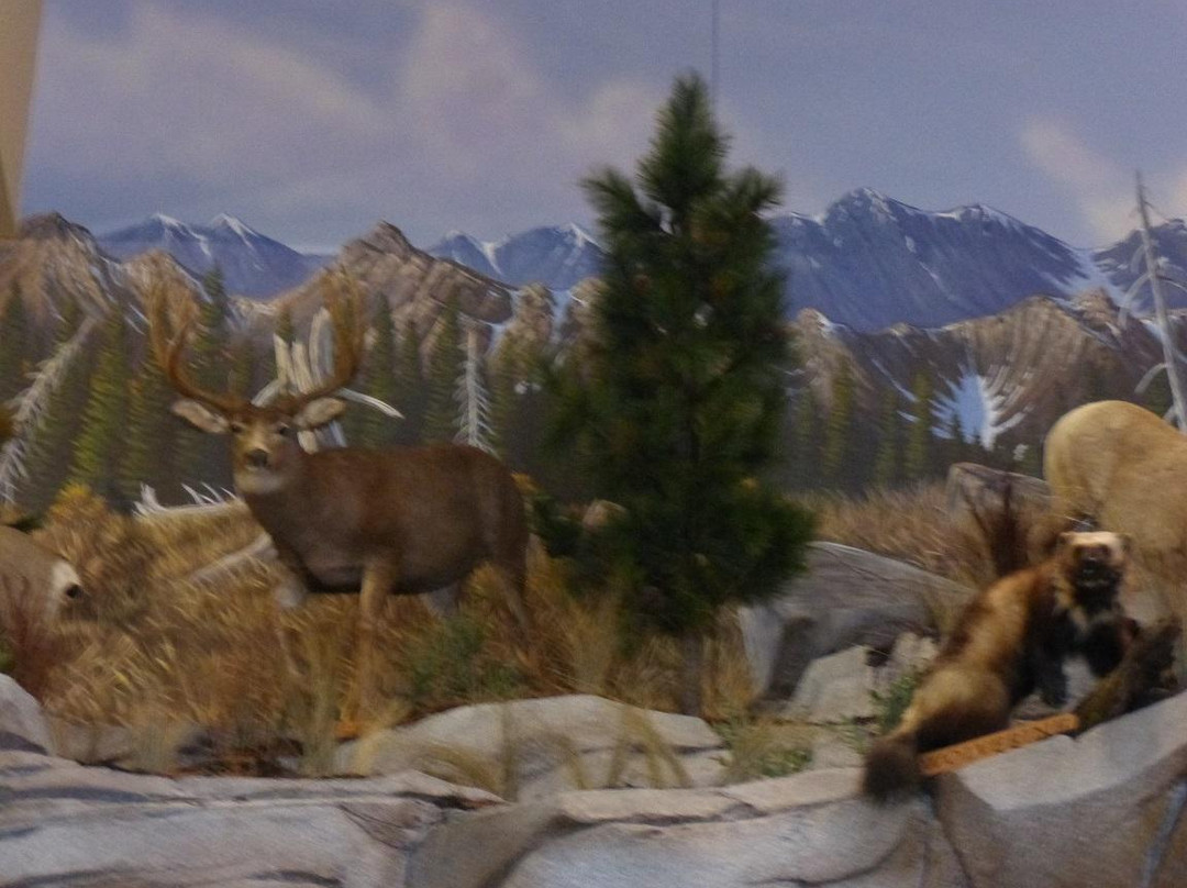 Cabela's-纽瓦克必去景点