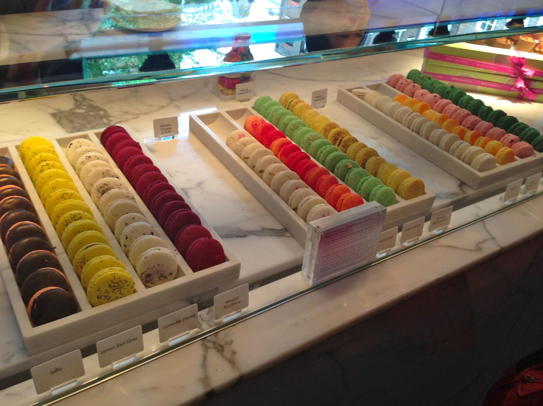 Best Tours-纽约市必去景点