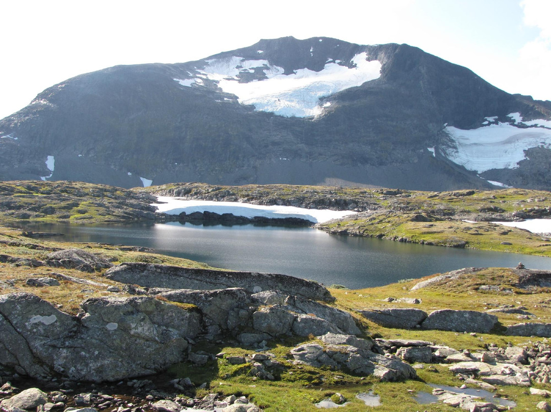 Sognefjellsvegen景点图片