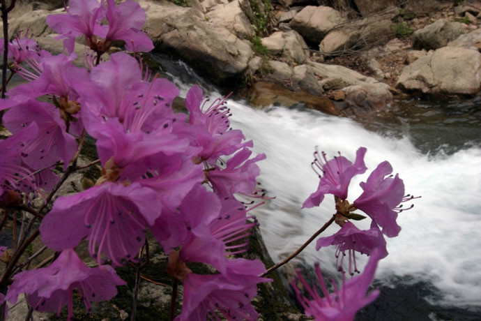天桥沟-宽甸满族自治县必去景点