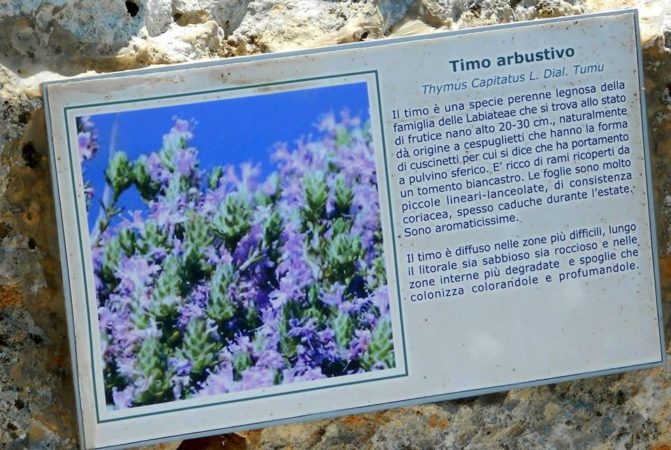 Dune di Campomarino-Maruggio必去景点