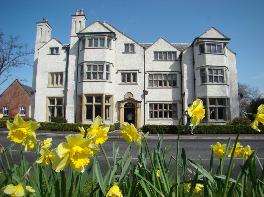 The Tea Room at Damhouse