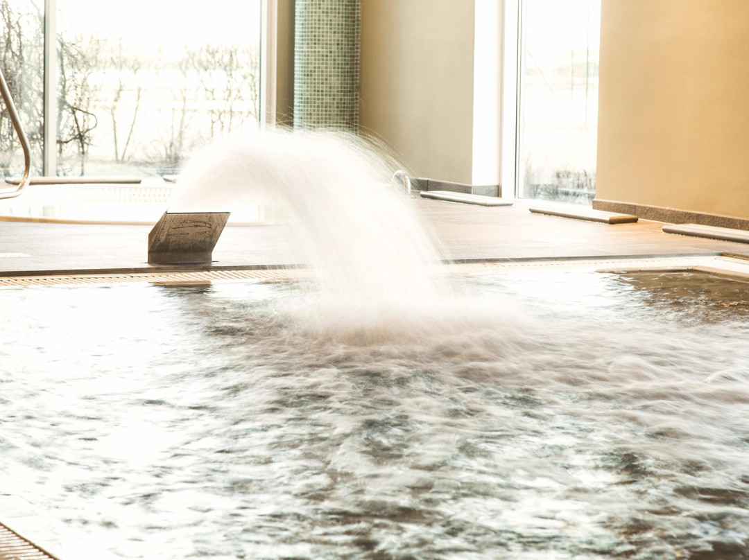 Georg Ots Spa Pools and Saunas景点图片