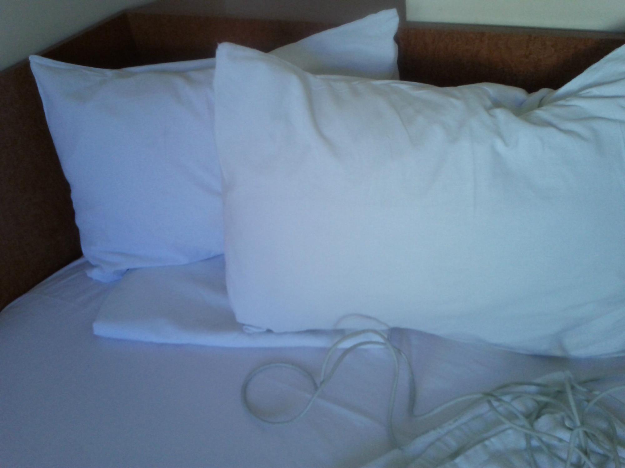 Hotel Zenix-客卧