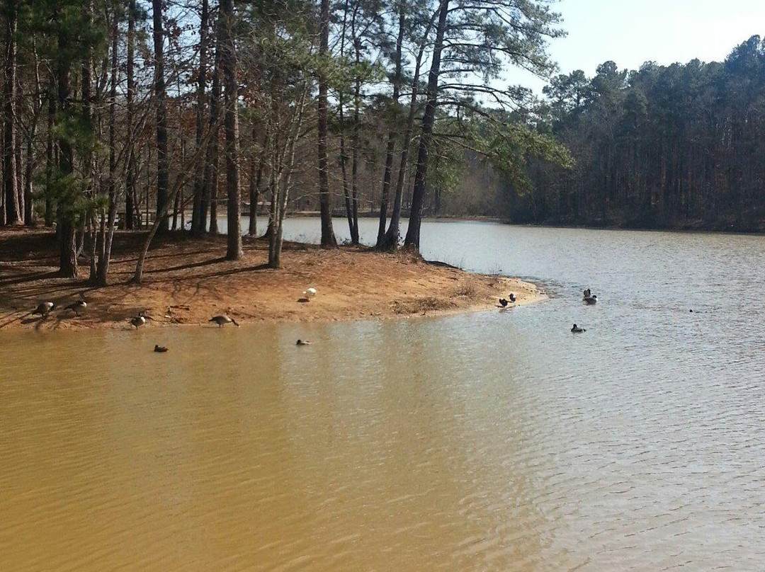 Turner lake-卡温顿必去景点
