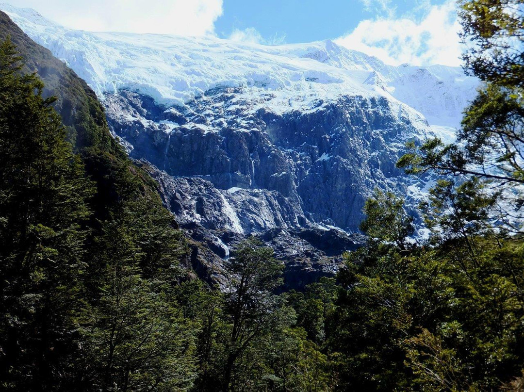 Alpine Luxury Tours景点图片