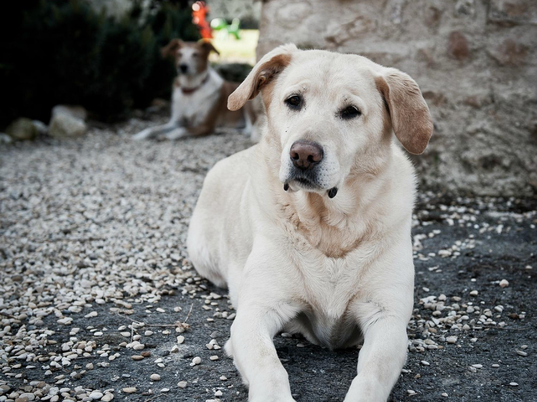 Rubigny酒店住宿-Le Prieure Chambres d'hotes