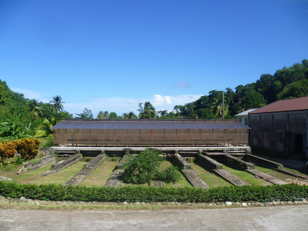 Belmont旅游攻略图片