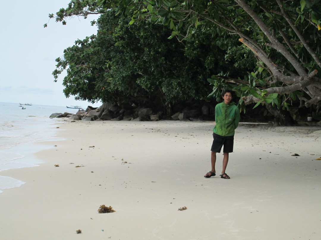 Desa Nelayan Tanjung Binga景点图片
