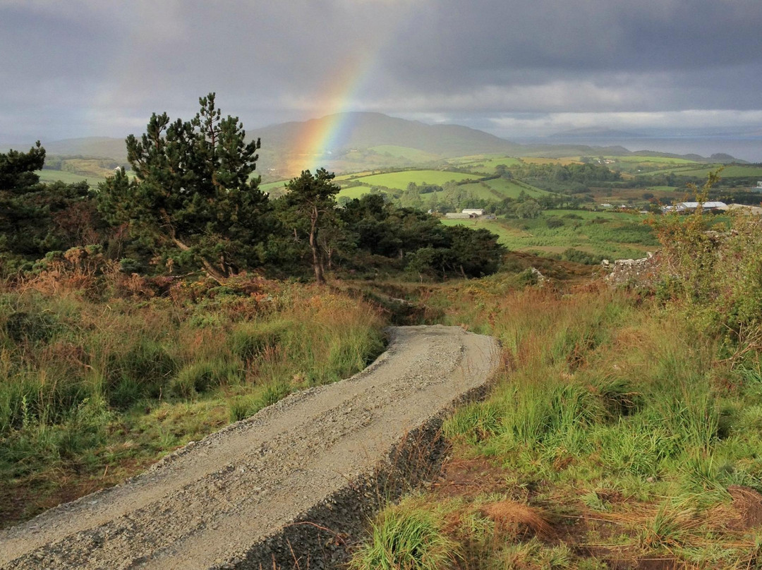 Bantry Bay Pony Trekking景点图片