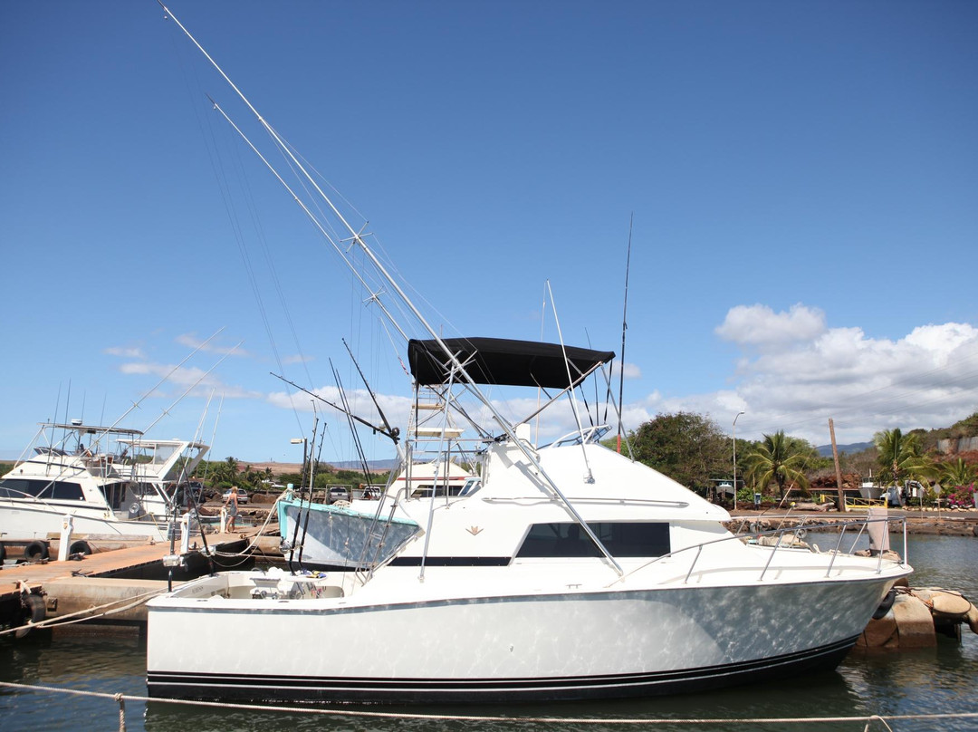 Nemesis Sport Fishing-埃里埃利必去景点