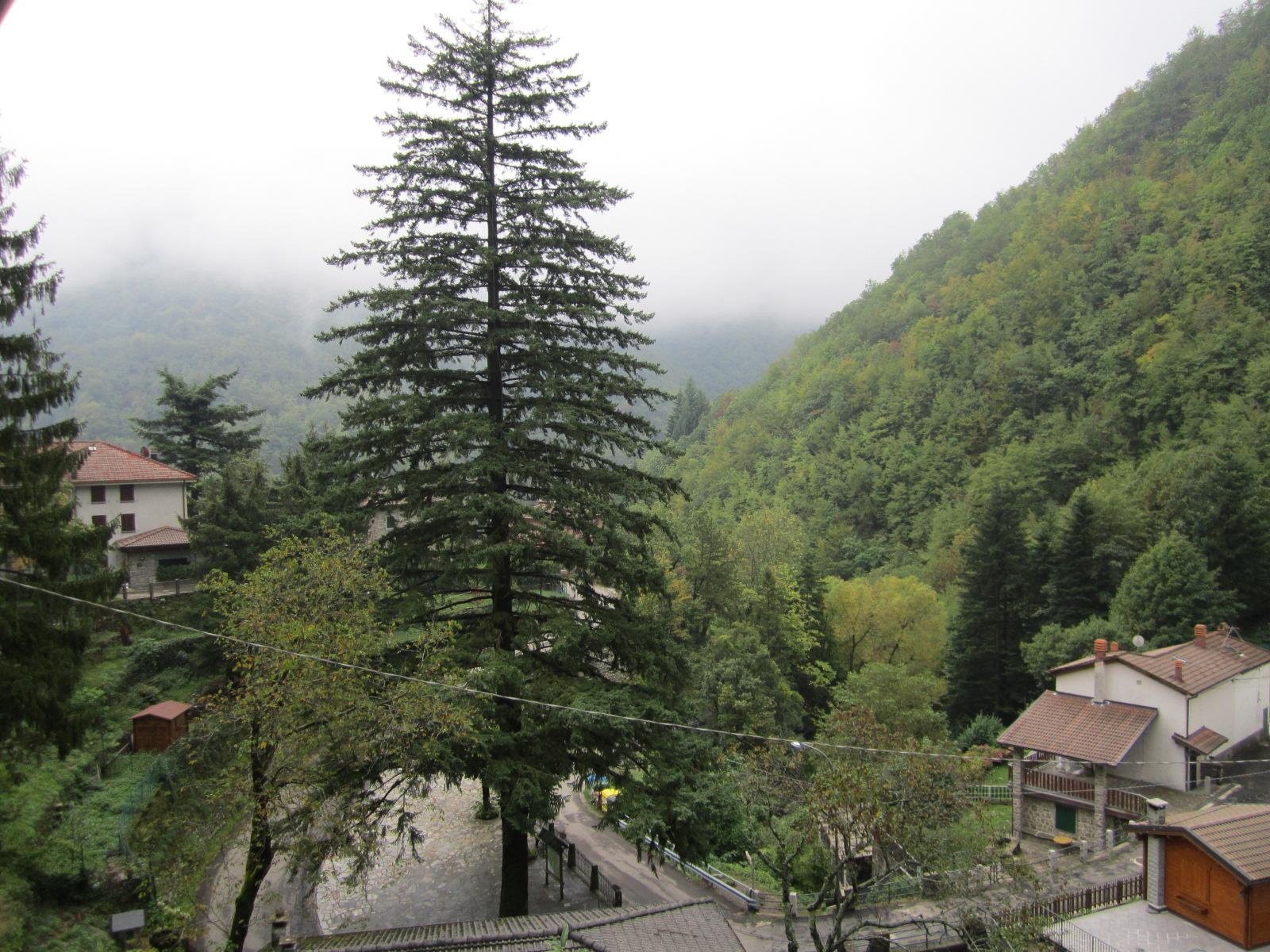 Antica Locanda Alpina-酒店景观