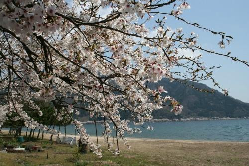 海津大崎-高岛市必去景点