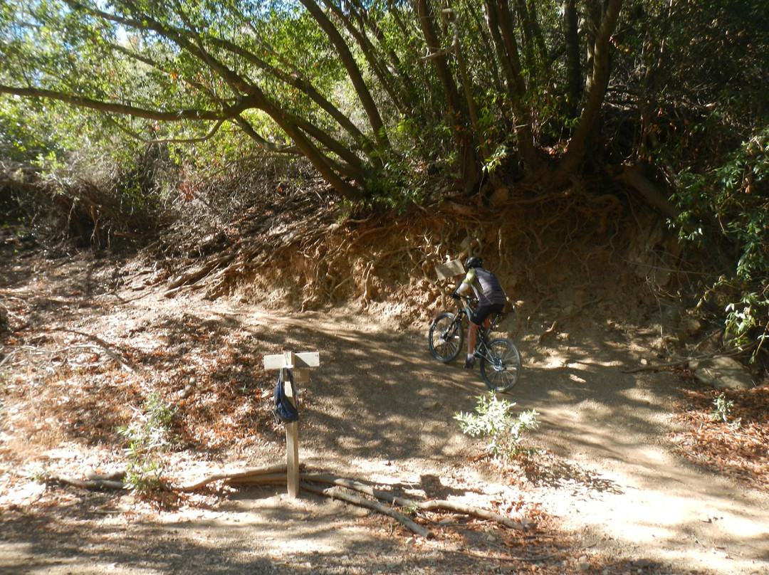 Cal Coast Adventures-圣巴巴拉必去景点