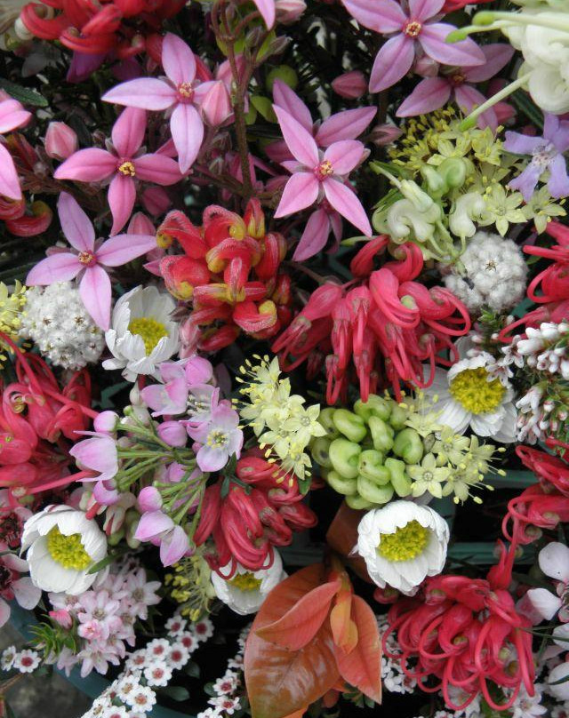 Karwarra Australian Plant Garden-Kalorama必去景点