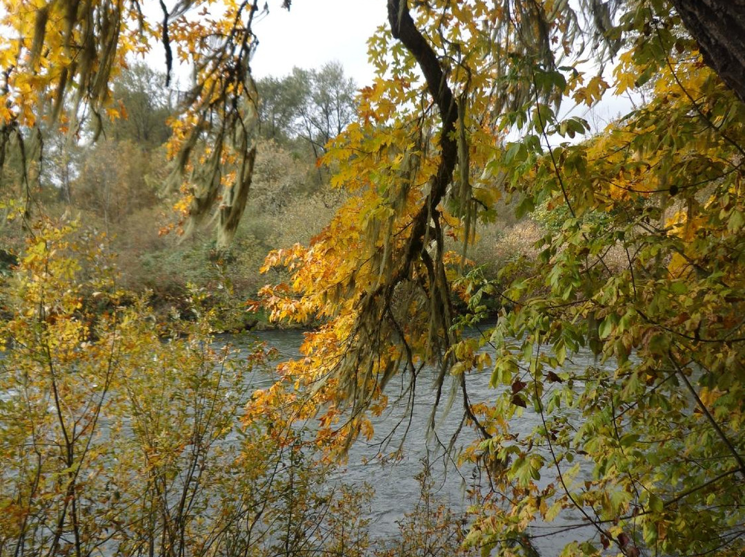 Mount Pisgah-尤金必去景点