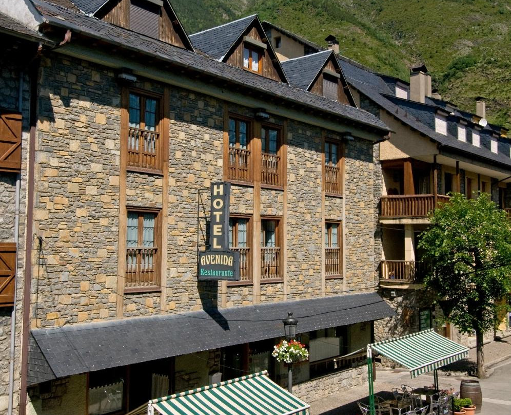 Hotel Avenida Benasque