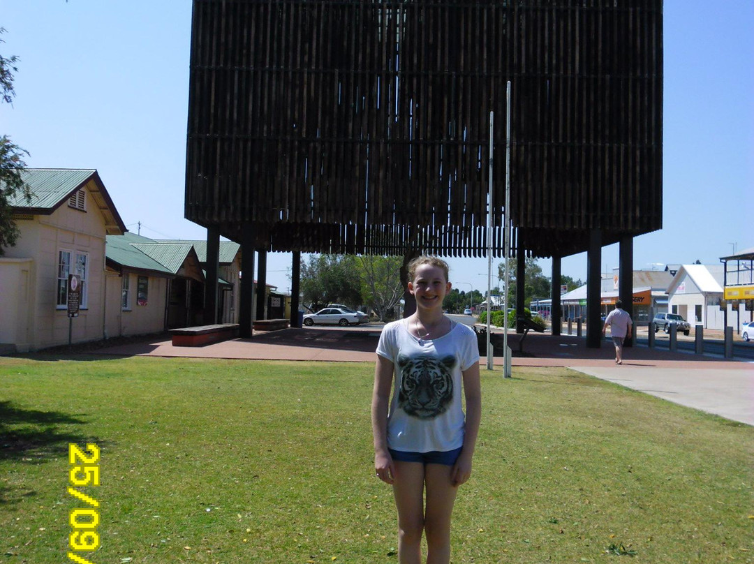 Tree Of Knowledge-Barcaldine必去景点