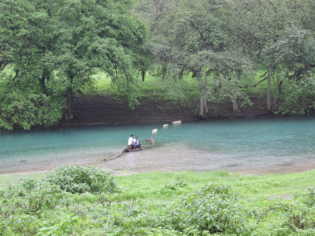 Best Shore Trips Salalah-塞拉莱必去景点