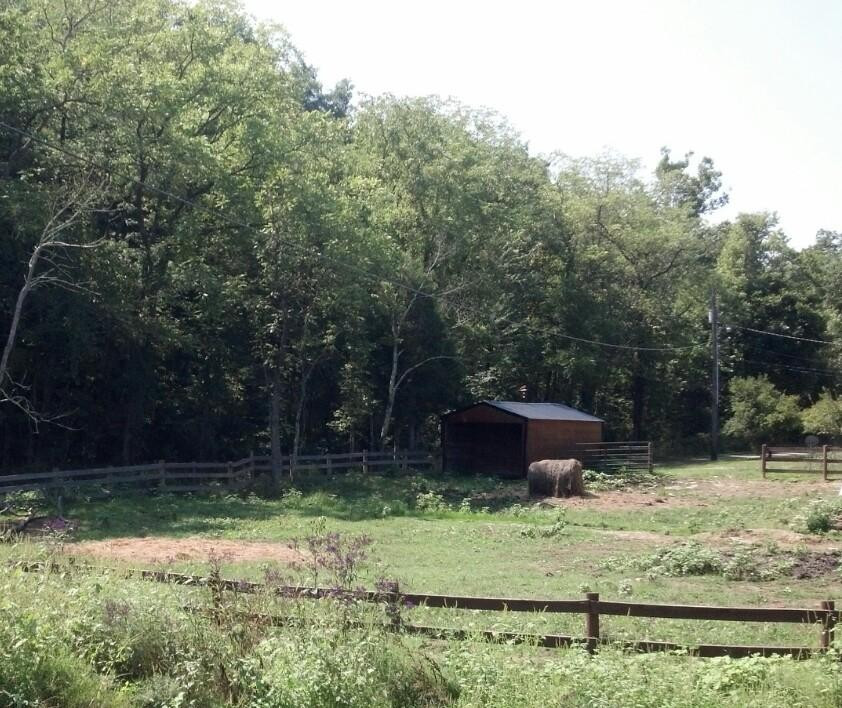 Whispering Woods Riding Stable景点图片