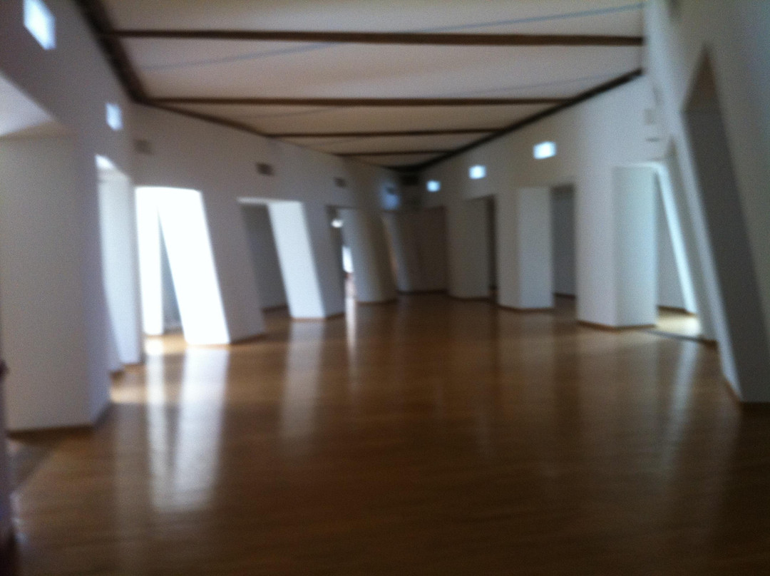 Museum of Modern Art-奥洛穆克必去景点