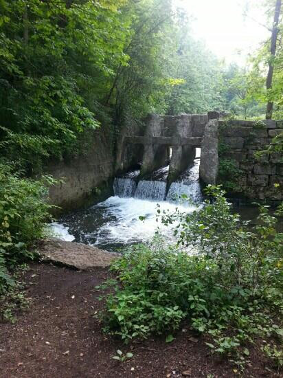 Charlie Major Nature Trail景点图片