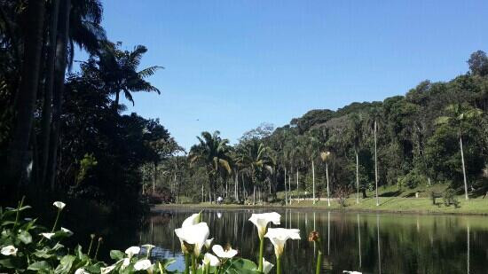 Jardim Botânico de São Paulo-圣保罗必去景点
