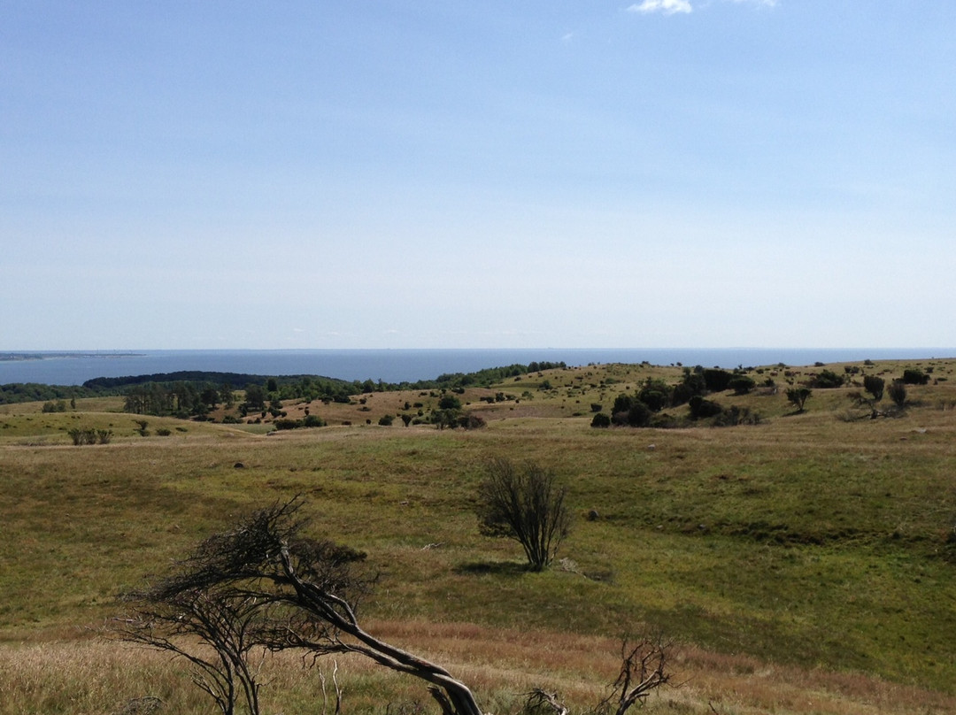 Nationalpark Mols Bjerge景点图片