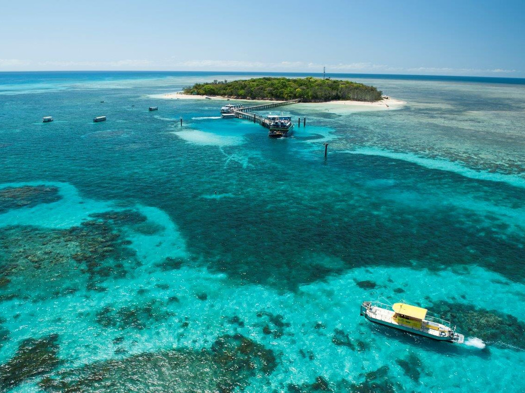 Big Cat Green Island Reef Cruises - Day Tour-凯恩斯必去景点
