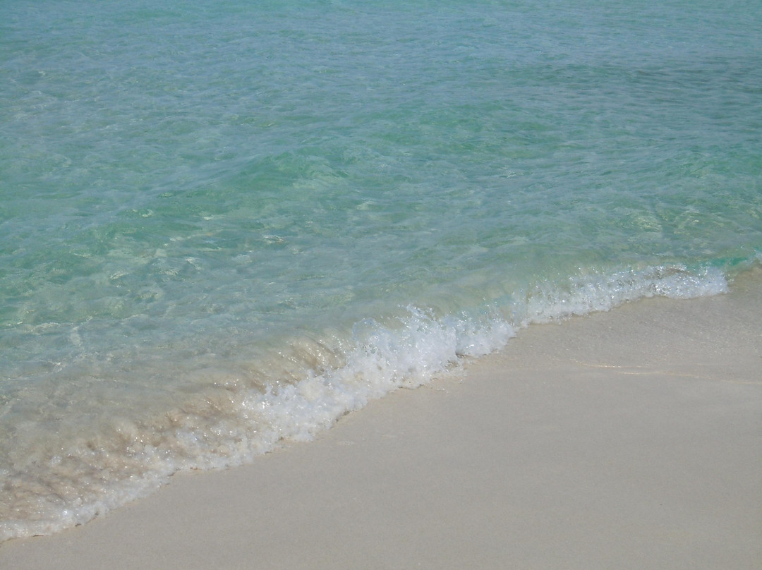 Platja Des Arenals景点图片