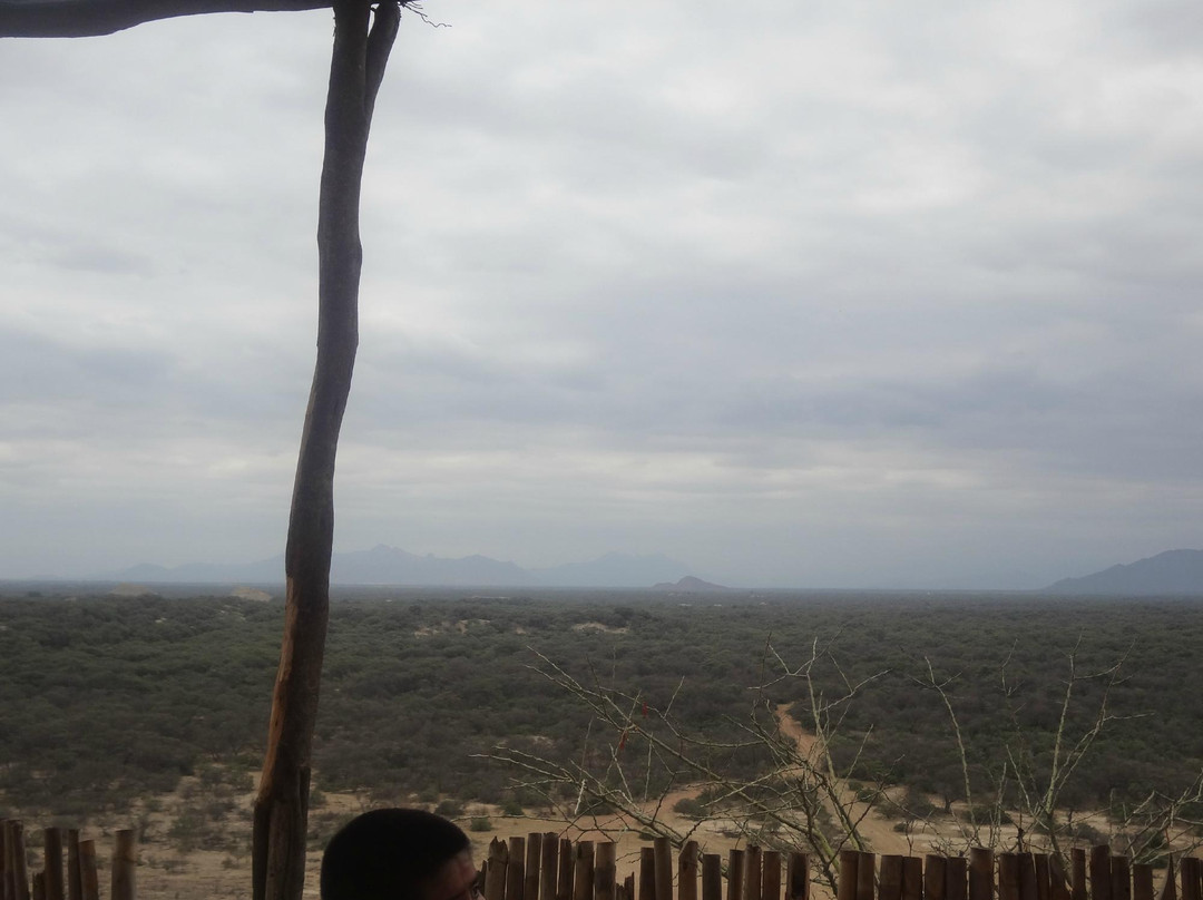 Santuario Histórico Bosque de Pómac-Ferrenafe必去景点