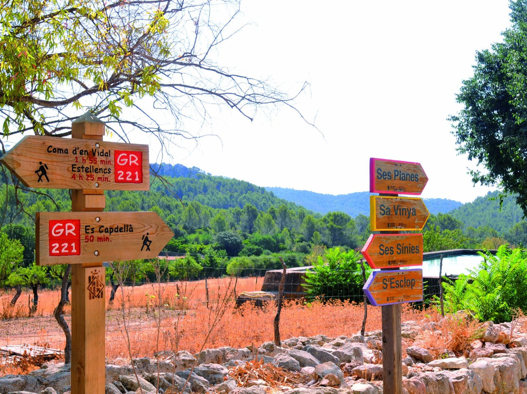 GR 221- Dry Stone Route-Es Capdella必去景点