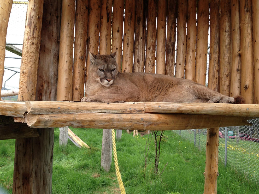 Ferme 5 Étoiles-Sacré-Coeur-Saguenay必去景点